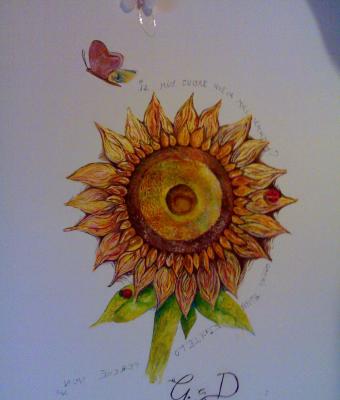 girasole