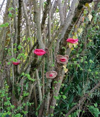 la-natura-ti-ama-tu-la-ami