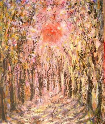 controluce