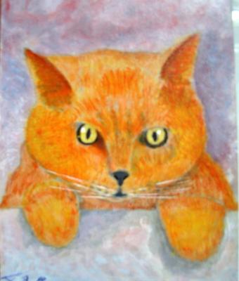 omaggio-a-pusky