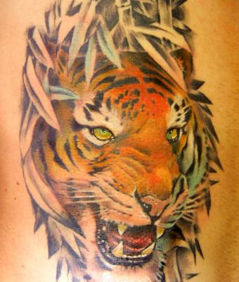 tigre