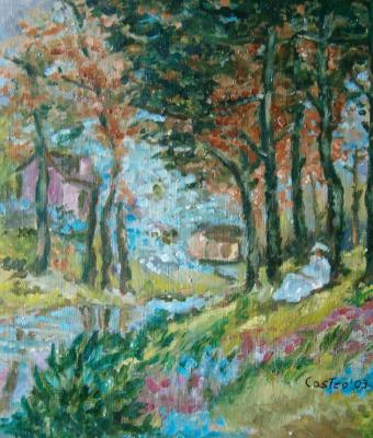 riposo-presso-la-riva-di-un-to