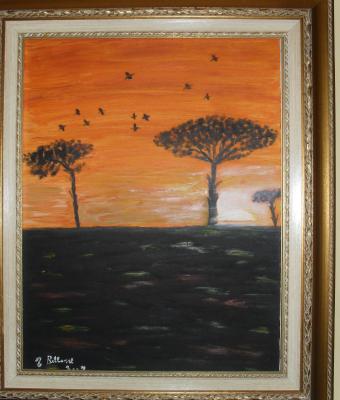 tramonto-con-uccelli