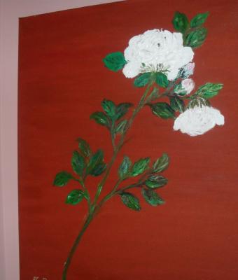 rosa-bianca