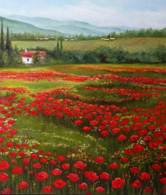campo-di-papaveri