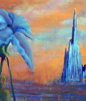 the-earth-cathedral