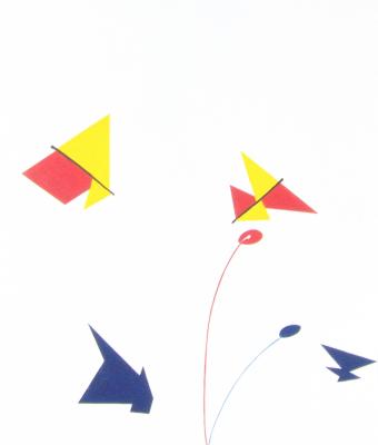 farfalle-ed-ombre-butterfli