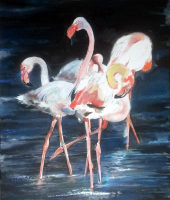 flamingos