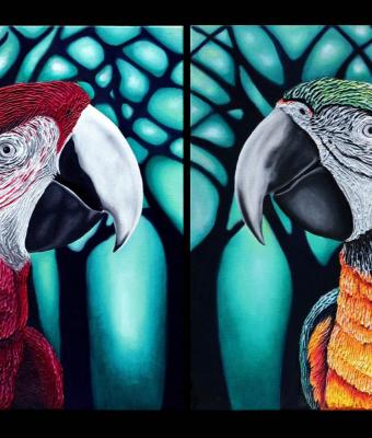 guacamaya