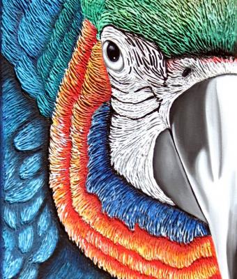 guacamaya-arlecchino-ii
