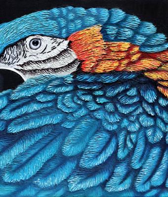 guacamaya-arlecchino-iii