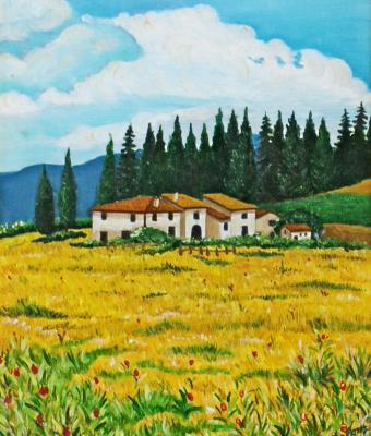 campo-di-grano