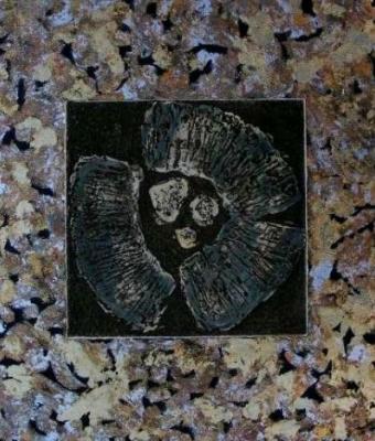 fossil-or-star