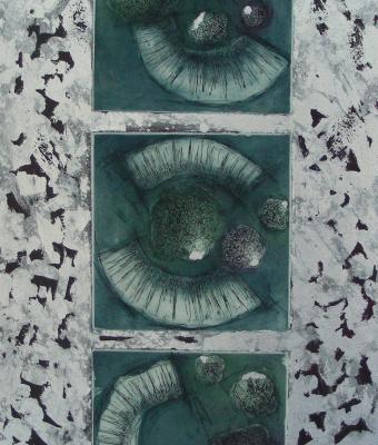 evolution-day
