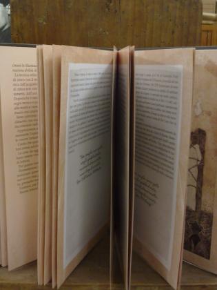 libro-tmc-mouse-a-spasso-nel-t