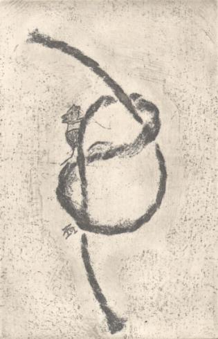 soareci-de-knot