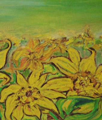 campo-girasoli
