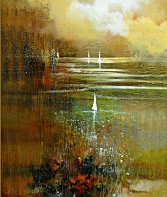 riflessi