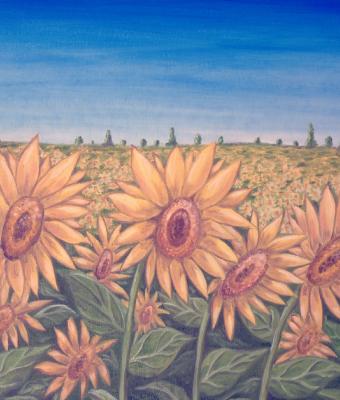 girasoli
