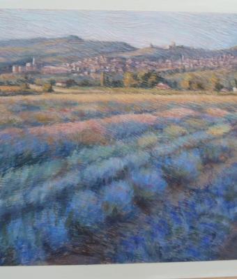 campi-di-lavanda-con-assisi