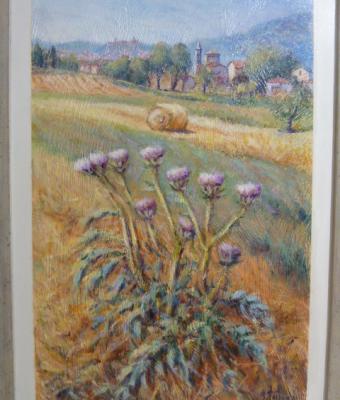 campagna-con-cardi-a-castelnuo