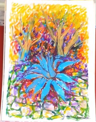 agave