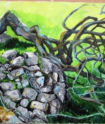 albero