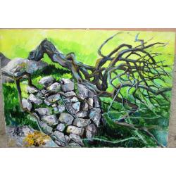 albero