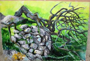 albero