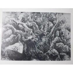 mostra-caltanissetta-palazzo-del-carmine mostra-caltanissetta-palazzo-del-carmine