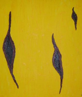 squarci-nella-luce