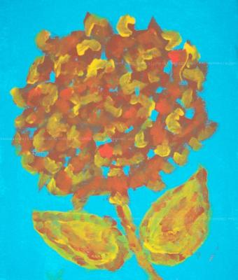 il-fiore