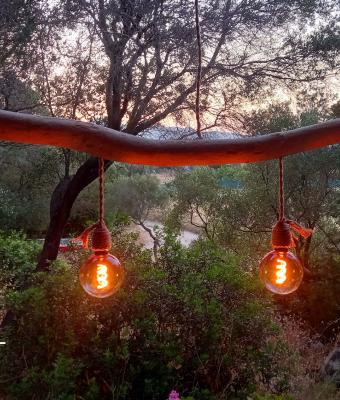 light