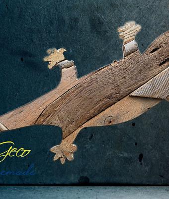 geko