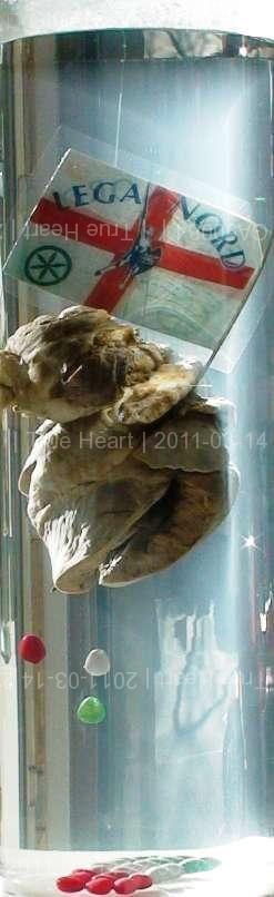 true-heart