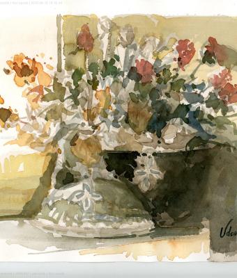 fiori-secchi