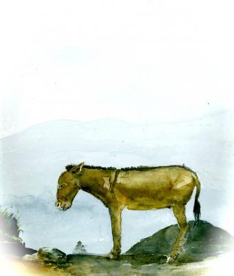 eritrea-12-illustrazioni-per