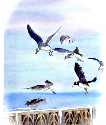 eritrea-12-illustrazioni-per