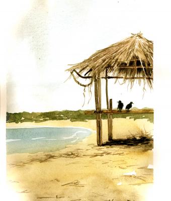 eritrea-12-illustrazioni-per