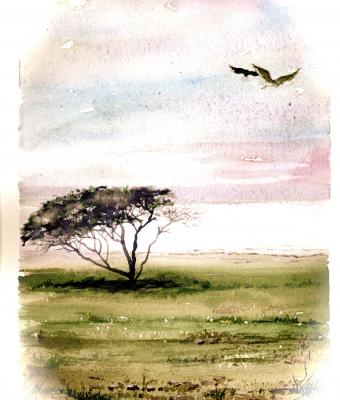 eritrea-12-illustrazioni-per