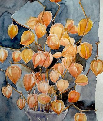 fiori-secchi-studio