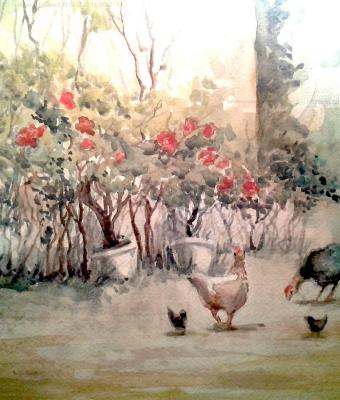 galline