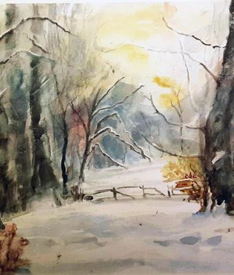 bosco-innevato