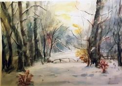 bosco-innevato