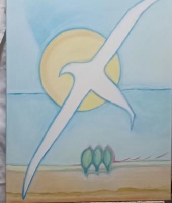 volo-d-albatro