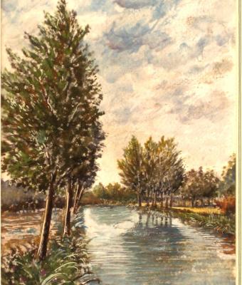 fiume-tra-gli-alberi