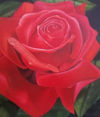 la-rosa-rossa