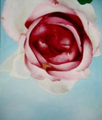 english-rose