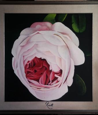 old-rose