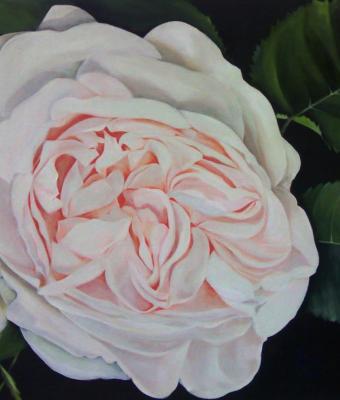 le-rose-di-piero-della-france